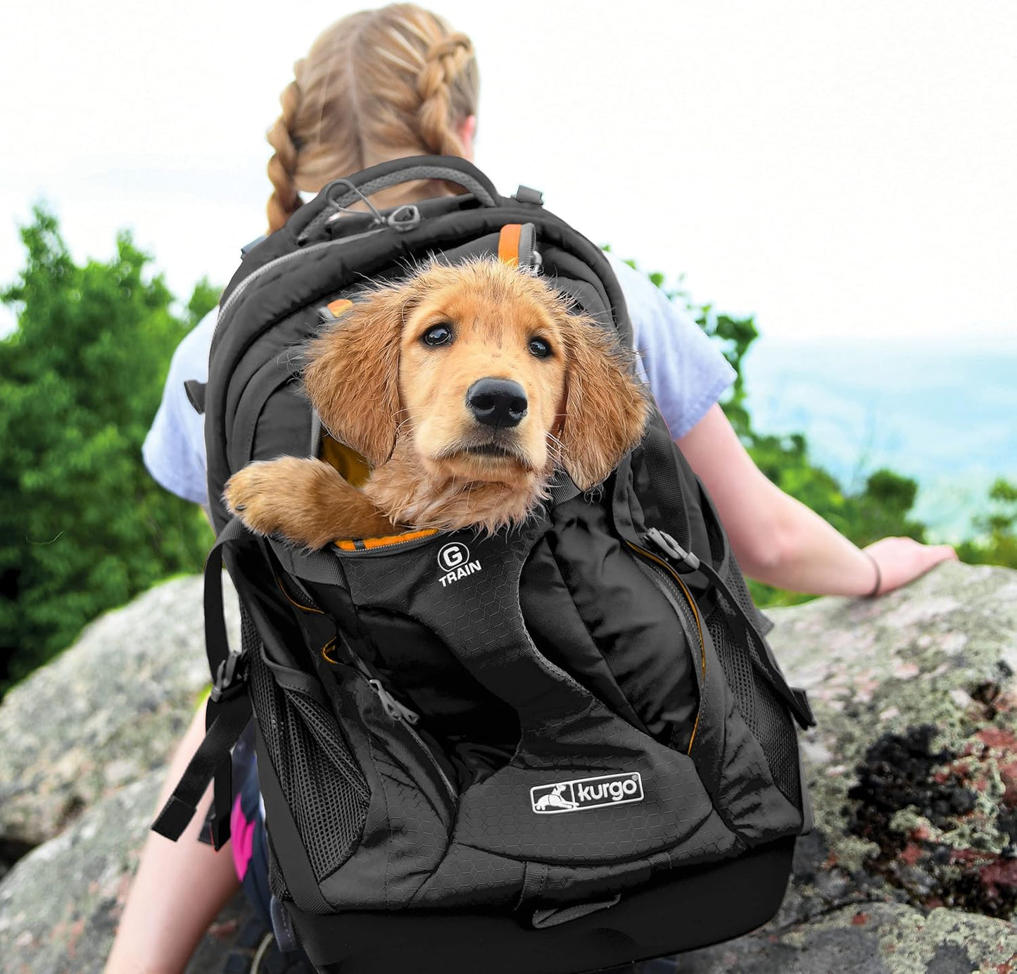 G-Train Dog Carrier Backpack - Comfortable Pet Travel Backpack for Small Dogs up to 11Kg - Rugged Design - Laptop Compartment - Armorsole Base - Water-Resistant - Heather Grey