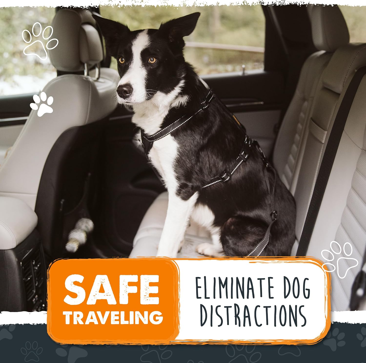 Dog Car Seat Belt - Universal Pet Safety Restraint Made with Durable Seatbelt Material, All-Metal Hardware, Adjustable Length Strap, Exceeds Safety Standards, Keeps Your Dog Secure (Black)