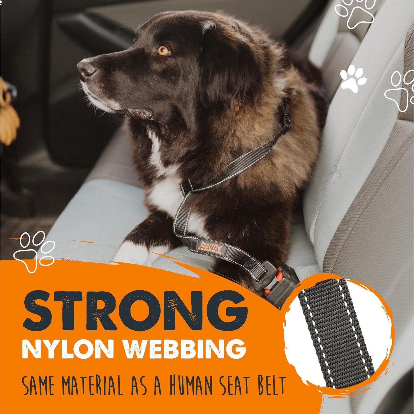 Dog Car Seat Belt - Universal Pet Safety Restraint Made with Durable Seatbelt Material, All-Metal Hardware, Adjustable Length Strap, Exceeds Safety Standards, Keeps Your Dog Secure (Black)